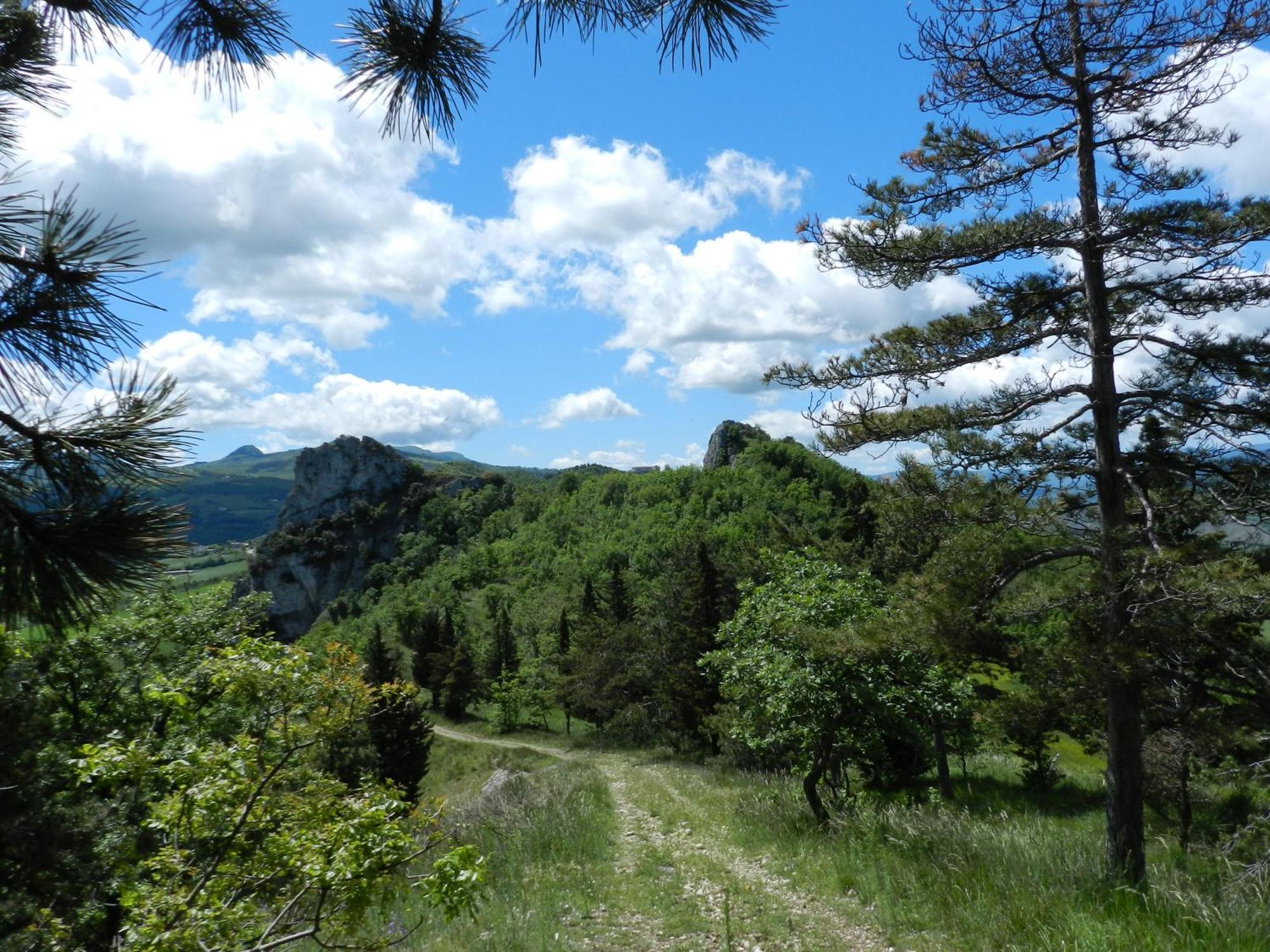 Villa Clara - Natura & Silenzio San Leo Exteriör bild